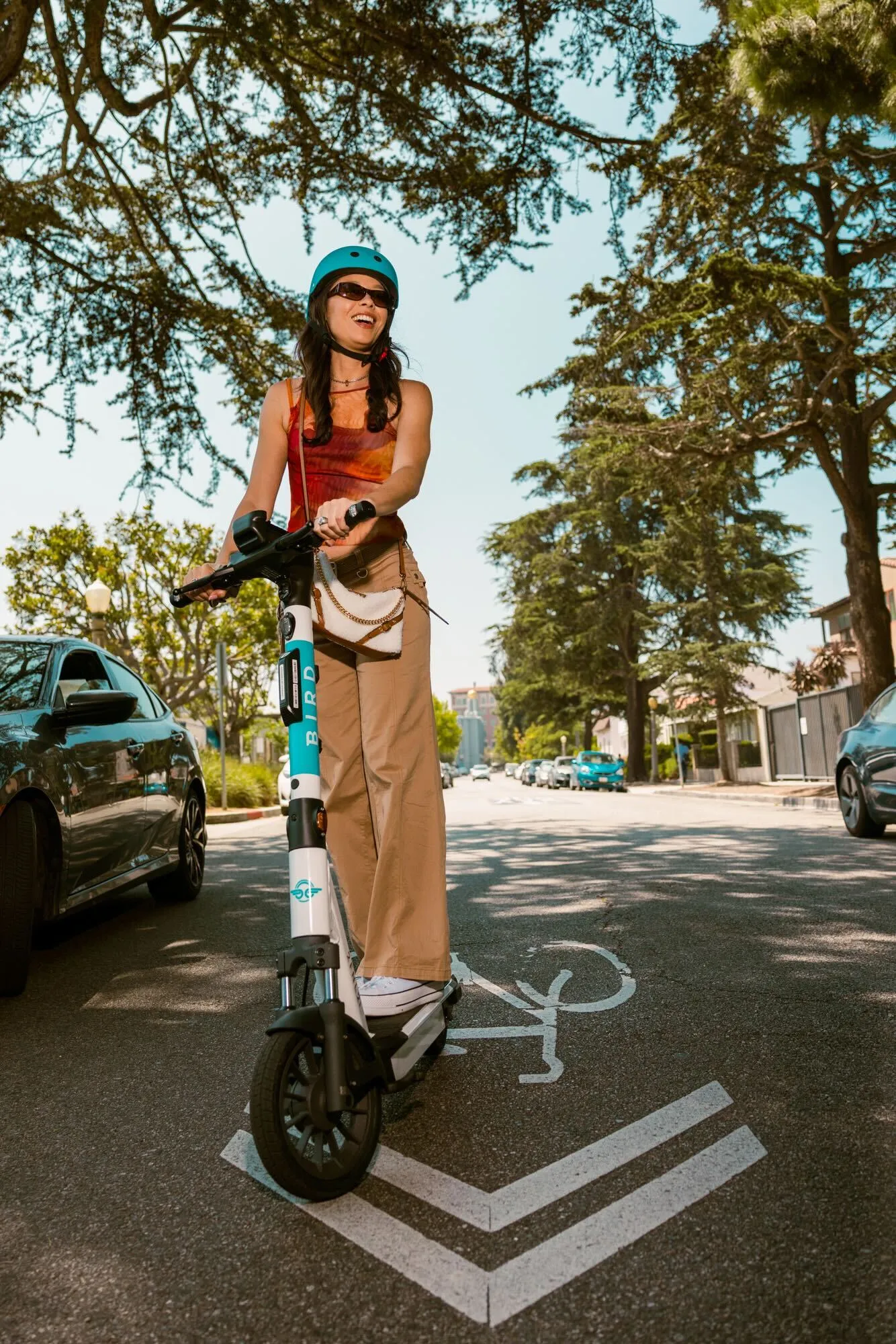 Rider on a Bird scooter in a protected bike lane on a sunny city street