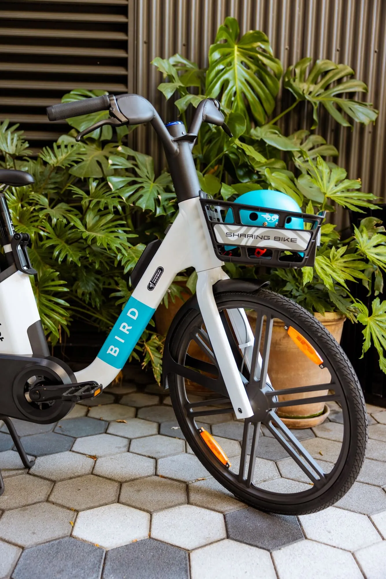 Bird e-bikes and scooters parked outside a modern building